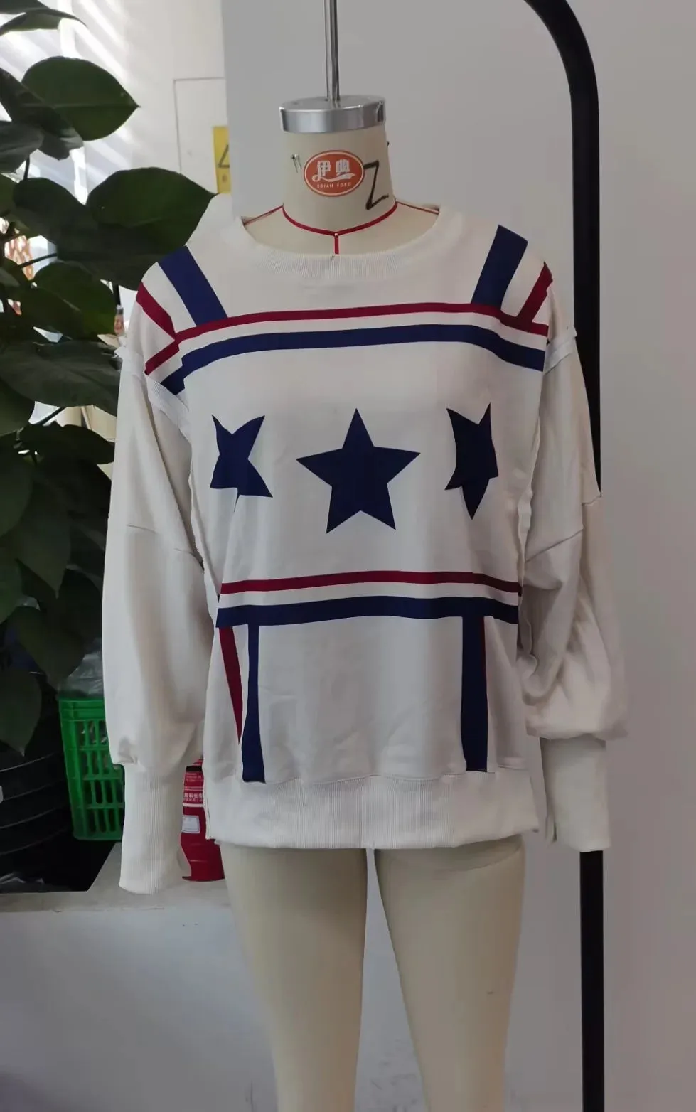 Graphic Long Sleeve  Crewneck Shirt