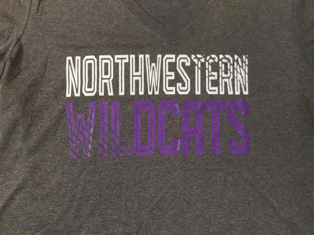 Northwestern Wildcats Under Armour Heatgear WOMEN Gray V-Neck T-Shirt (M)