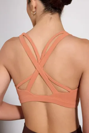 Velocity Sports Bra - Sunburn